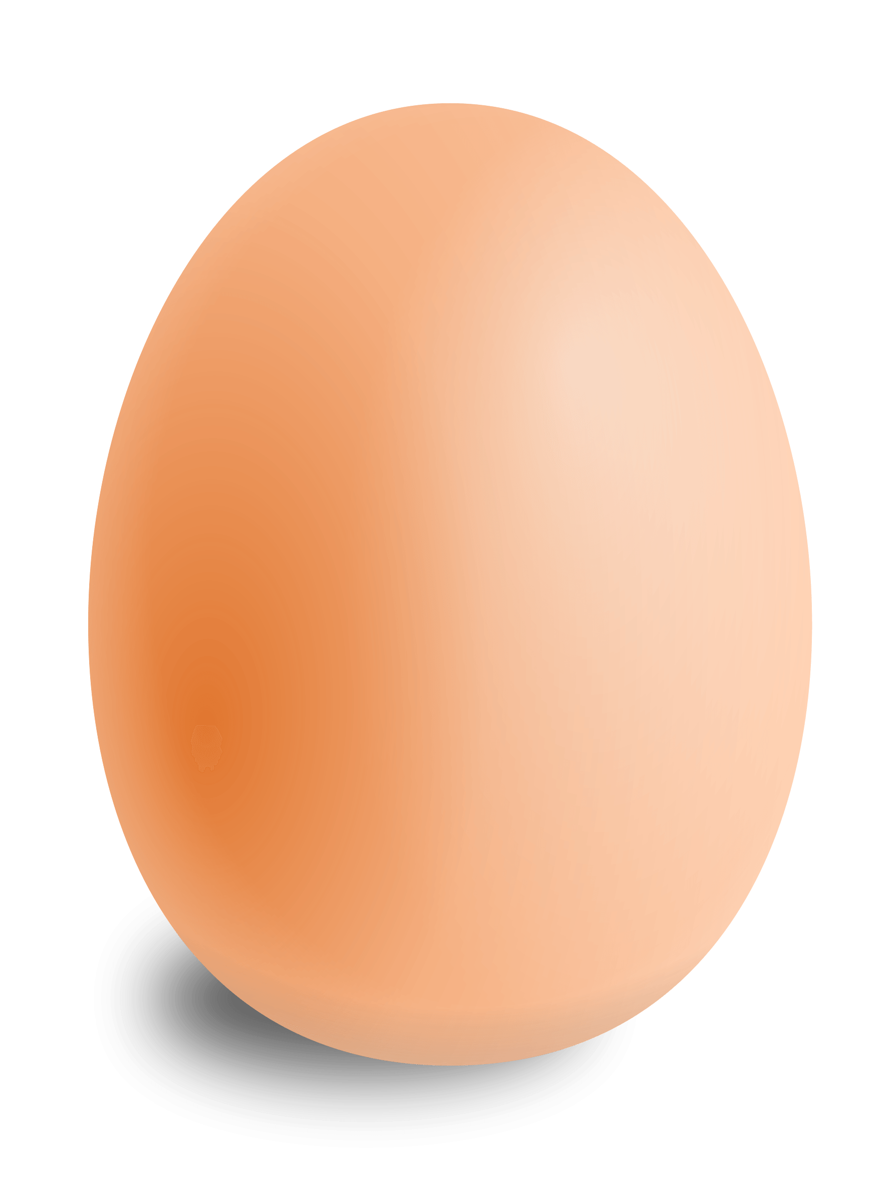 Egg